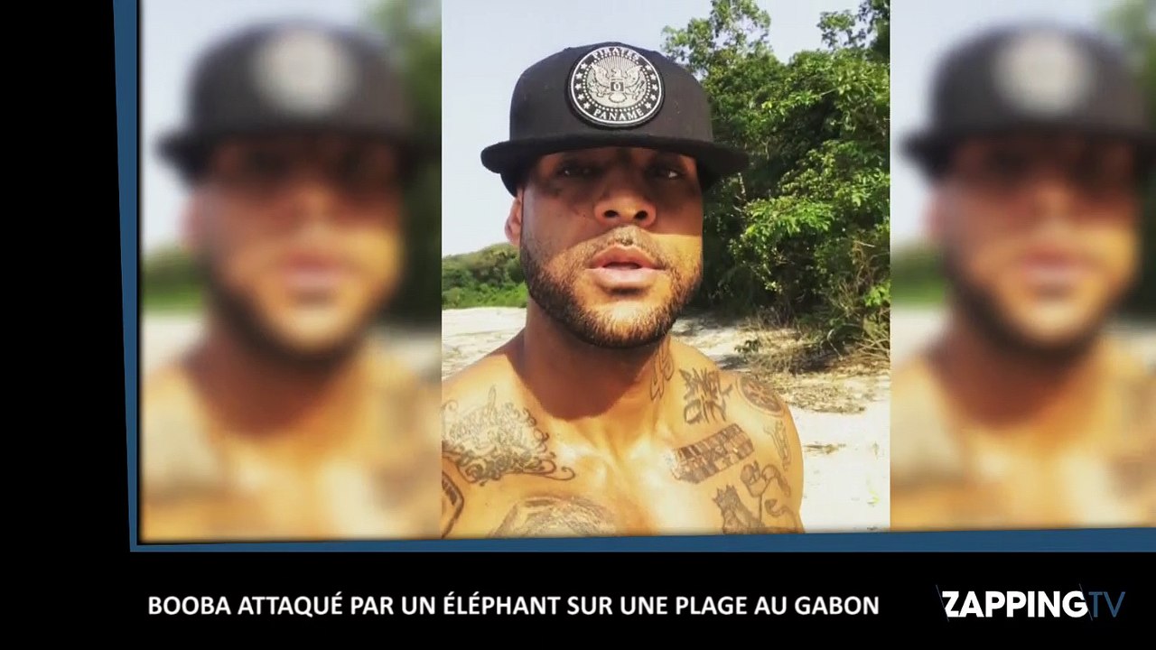 Booba se fait charger par un éléphant, les images surprenantes (Vidéo)