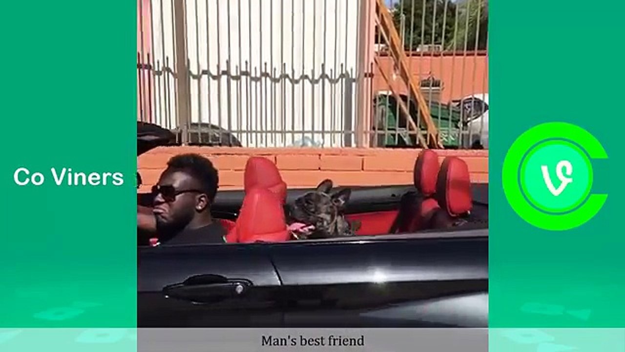 Ultimate Anwar Jibawi Vine Compilation (w_Titles) Funny Vines of Anwar Jibawi 2016 - Co Viners