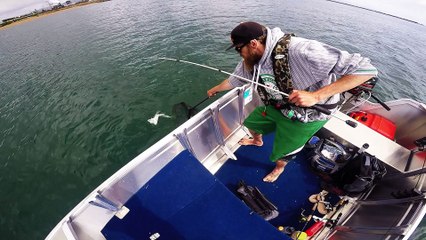 fishin the last few months, bit of everything