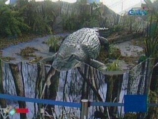 Saksi: Replica ng higanteng buwayang si Lolong, masisilayan sa isang mall