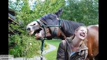 40 Pictures of Funny Photobombs by Animal    Right moment Pics 2015    Funny oops Photo