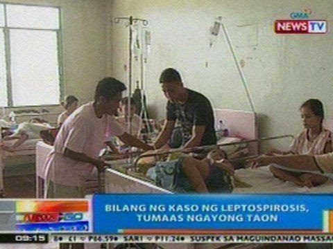 NTG: Bilang ng kaso ng leptospirosis, tumaas ngayong taon