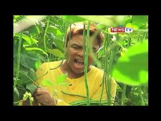 Day Off: Pekto at Boobay bilang mga Kargador ng Gulay