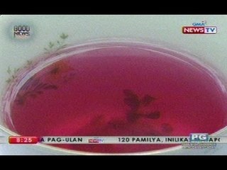 GN: Iba't ibang gamit ng kamias