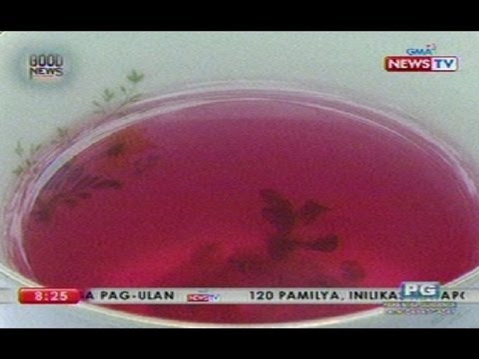 GN: Iba't ibang gamit ng kamias