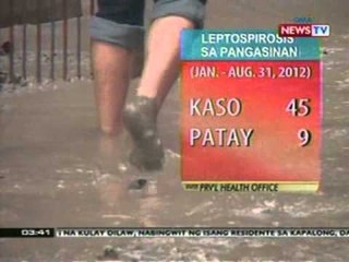 BP: Leptospirosis update