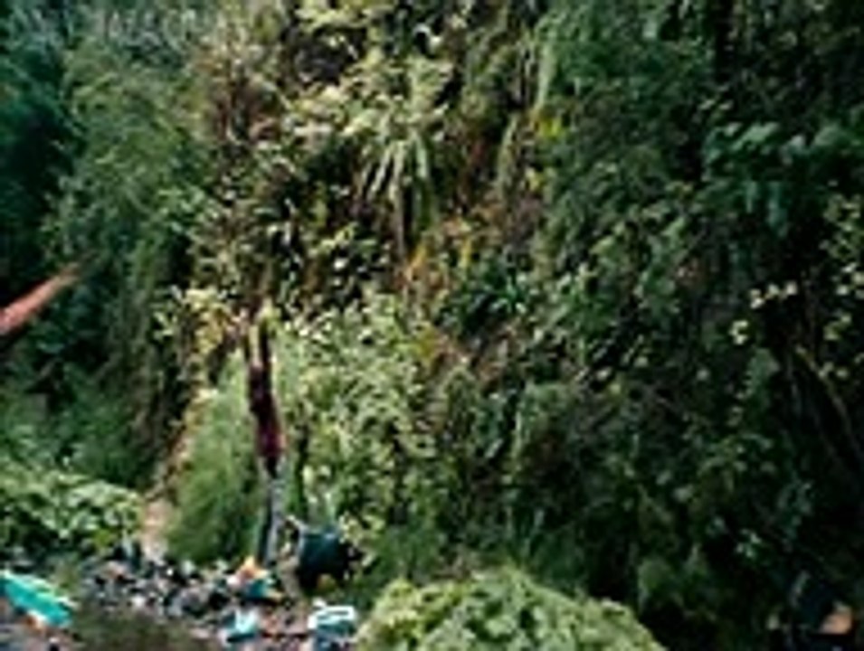 Swiss Army Man (Theatrical Trailer 2)