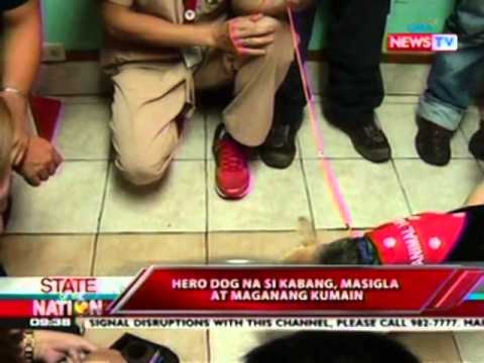 SONA: Hero dog na si Kabang, masigla at maganang kumain