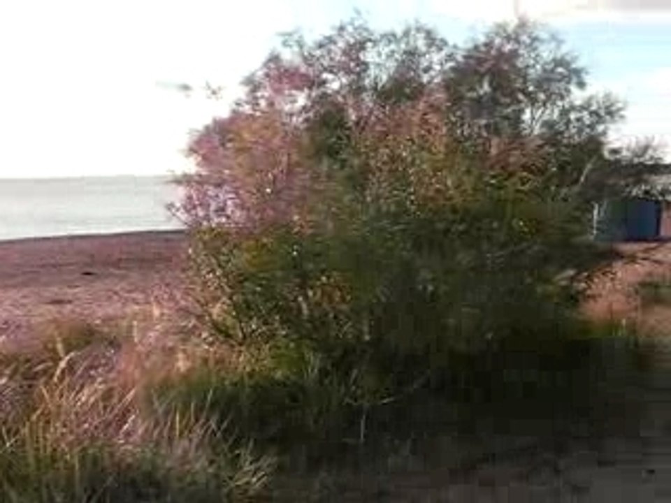 Mvi_5417