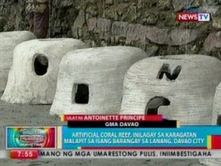BP: Artificial coral reef, inilagay sa karagatan malapit sa isang barangay sa Lanang, Davao City
