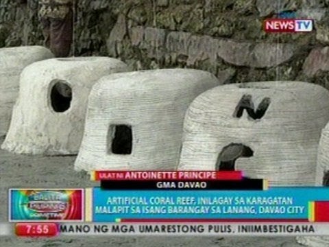 BP: Artificial coral reef, inilagay sa karagatan malapit sa isang barangay sa Lanang, Davao City