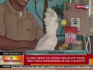 BT: Ilang ibon sa isang wildlife park sa Pasay, may mga nakakabilib na talento