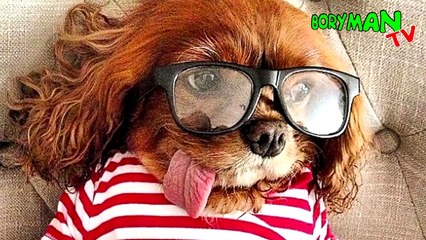 10 САМЫХ БЕСПОЛЕЗНЫХ ТОВАРОВ ИЗ ALIEXPRESS. СУМАСШЕДШИЕ КИТАЙЦЫ!