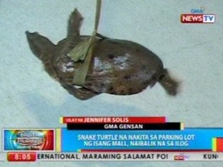 BP: Snake turtle na nakita sa parking lot ng isang mall, naibalik na sa ilog