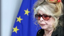 Bardot dézingue à tout va : Hollande, Valls, Depardieu, Deneuve