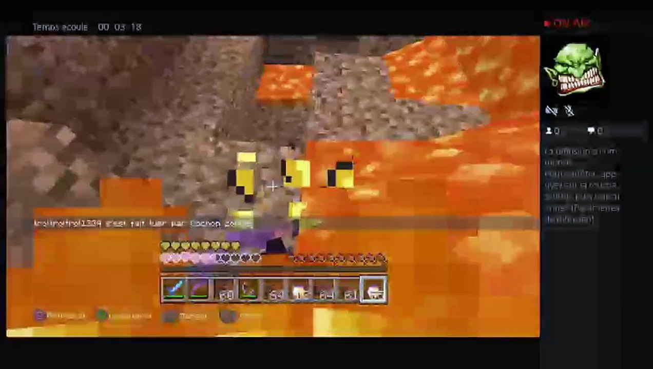 Combat contre des cochons zombies (4)