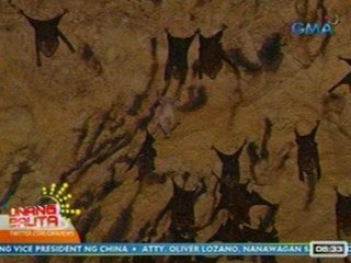 UB: Puting Paniki, natagpuan sa isang kweba sa Mulanay, Quezon