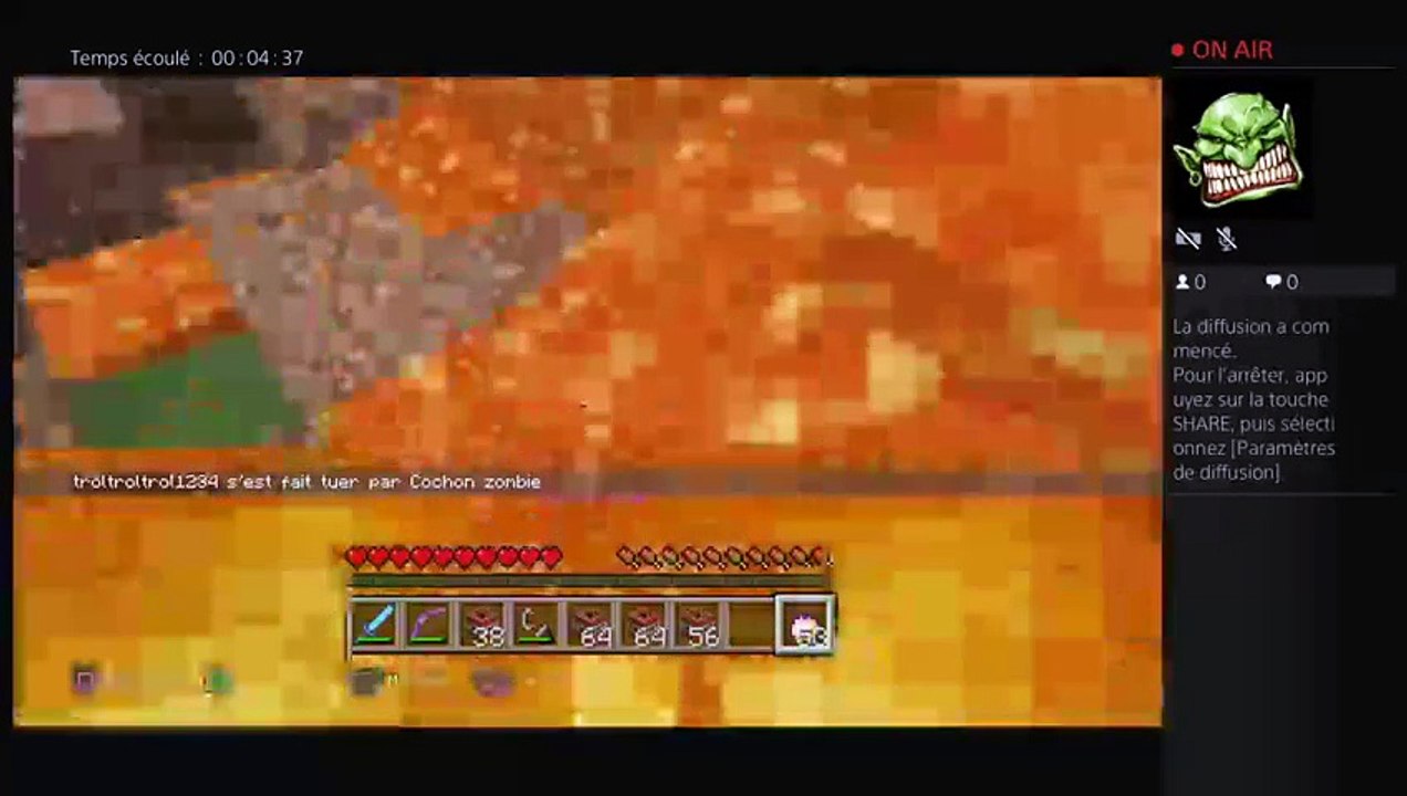 Combat contre des cochons zombies (6)