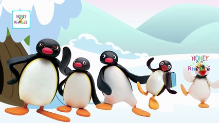 Finger Family Pingu Cartoon Animation Children Nursery Rhymes HD | Pingu Finger Family Songs HD