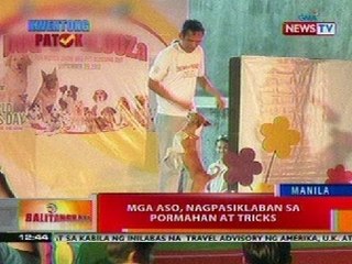 BT: Mga aso, nagpasiklaban sa pormahan at tricks sa Manila