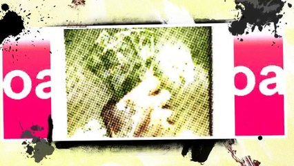 [F371.Ebook] Godonomics: What the ALMIGHTY says about the almighty dollar From God Quest, Inc - Free PDF Ebook