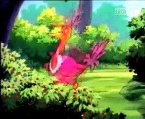 Gumisie - Strach na wroble.