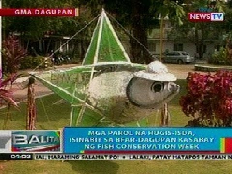 BP: Mga parol na hugis-isda, isinabit sa BFAR-Dagupan