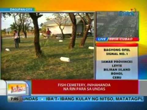UB: Fish cemetery, inihahanda na rin para sa undas