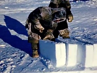 Learn how to build an igloo