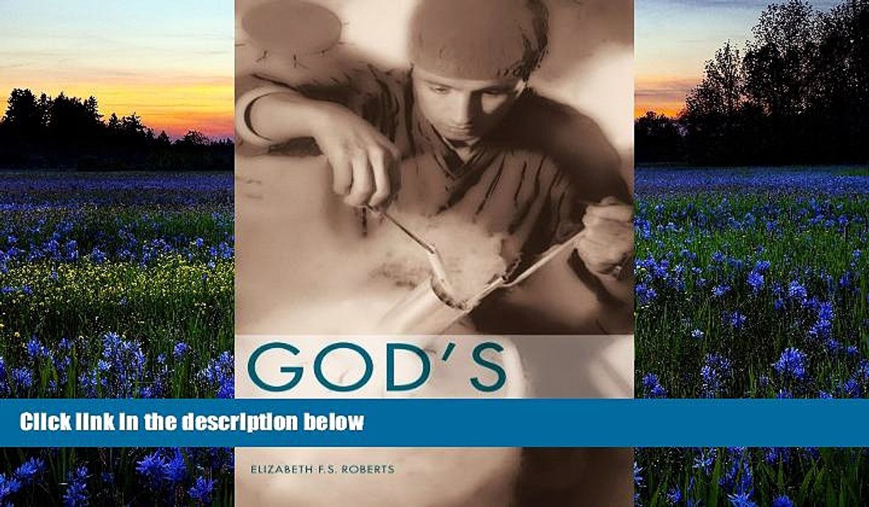 Audiobook God s Laboratory: Assisted Reproduction in the Andes Elizabeth F. S. Roberts Audiobook
