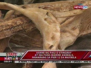 SONA: Karne ng pagi o stingray at iba pang marine animals, naharang sa Pier 12 Maynila