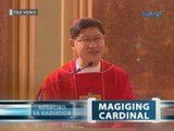 Saksi: Manila Archbishop Luis Antonio Tagle, Cardinal na