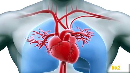 Top 6 Cosas De Tu Cuerpo Que No Sabias