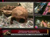 24 Oras: Puntod ng ilang nakalibing sa Tala Cemetery, nawawala umano