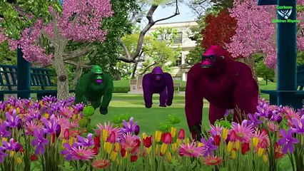 Lion Vs Bear, Dog, Rat Music Song || English Nursery Rhymes For Kids