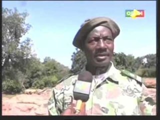 Découverte de la foret classé de Faranko à Sikasso.