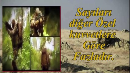 Dünya Özel Kuvvetler Yarışması Sonuçları 2016 izle gör