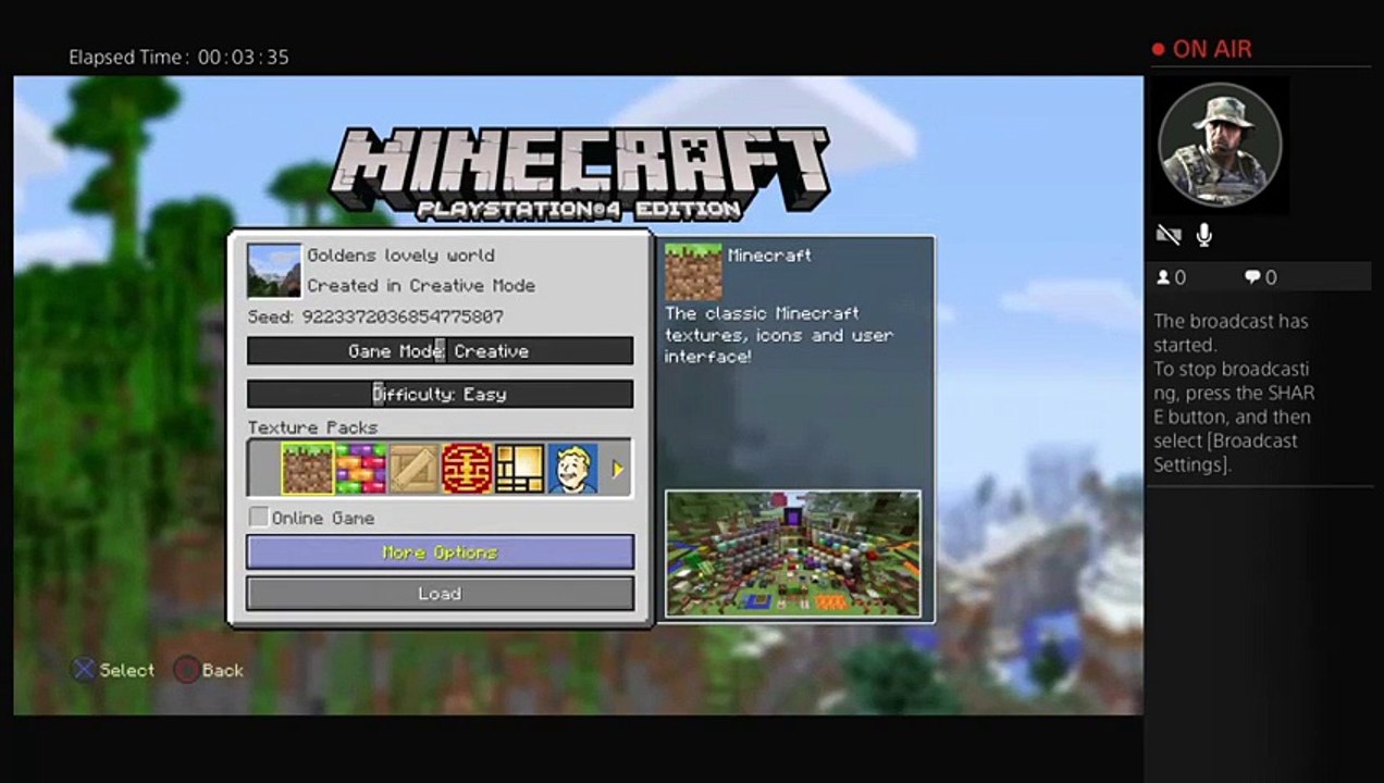 Minecraft ps4 (21)