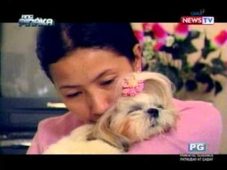 Ang Pinaka: Touching Acts of Animal Grief