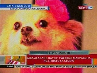 Download Video: BT: Mga alagang hayop, pwedeng magpakuha ng litrato sa studio sa Negros Occidental