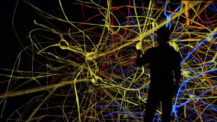 PBS.The.Brain.with.David.Eagleman.2of6.What.Makes.Me.720p.HDTV.x264.AAC[eztv]