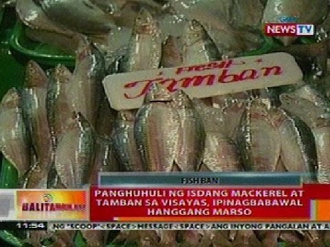 BT: Panghuhuli ng isdang mackerel at tamban sa Visayas, ipinagbabawal hanggang Marso