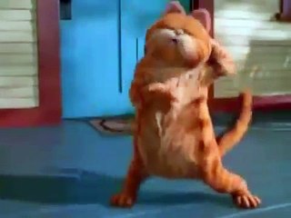 Garfıeld Semsettin bin arabaya  börnüm ağrıyo