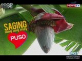 Good News: Saging lang ang may puso