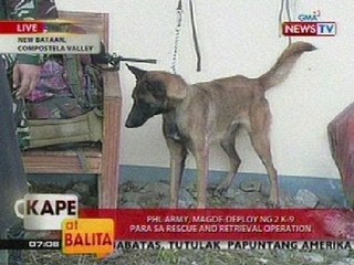 KB: PHL Army, magde-deploy ng 2 K-9 para sa rescue and retrieval operation sa ComVal