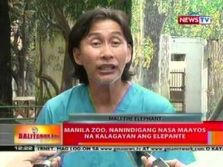 BT: Elepante sa Manila Zoo, gustong ipadala ng animal rights advocates sa Thailand para maalagaan