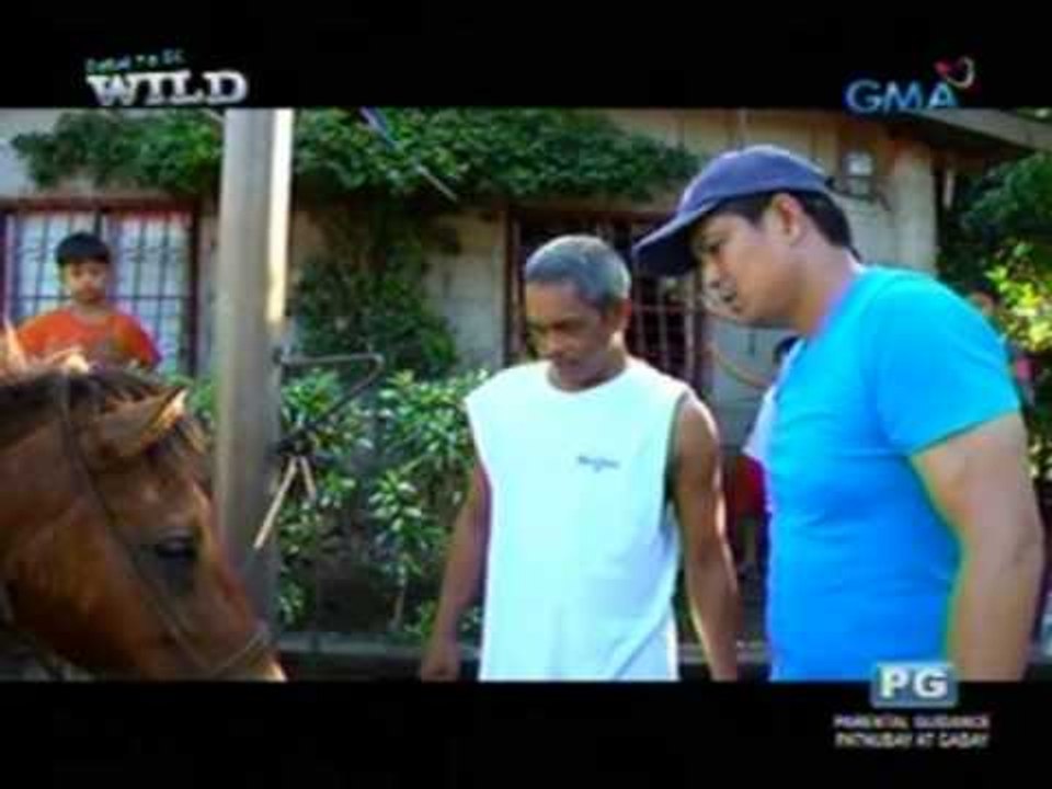 Born to be Wild: Doc Nielsen treats 22 horses in a single day