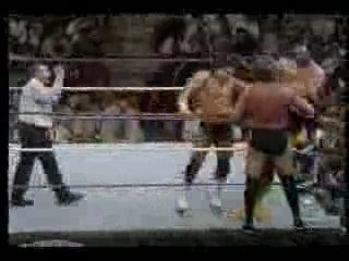 Survivor Series 1990 Hogan/Warrior vs Million Dollar Man