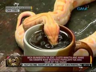 24 Oras: Ilang hayop sa zoo, na-trauma umano sa ingay at usok ng paputok