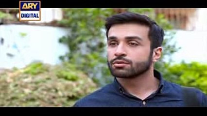 Mere Humnawa Ep 18 14th January 2017 ARY Digital Drama